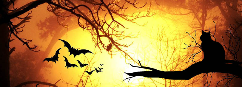 Traditional Halloween Animals